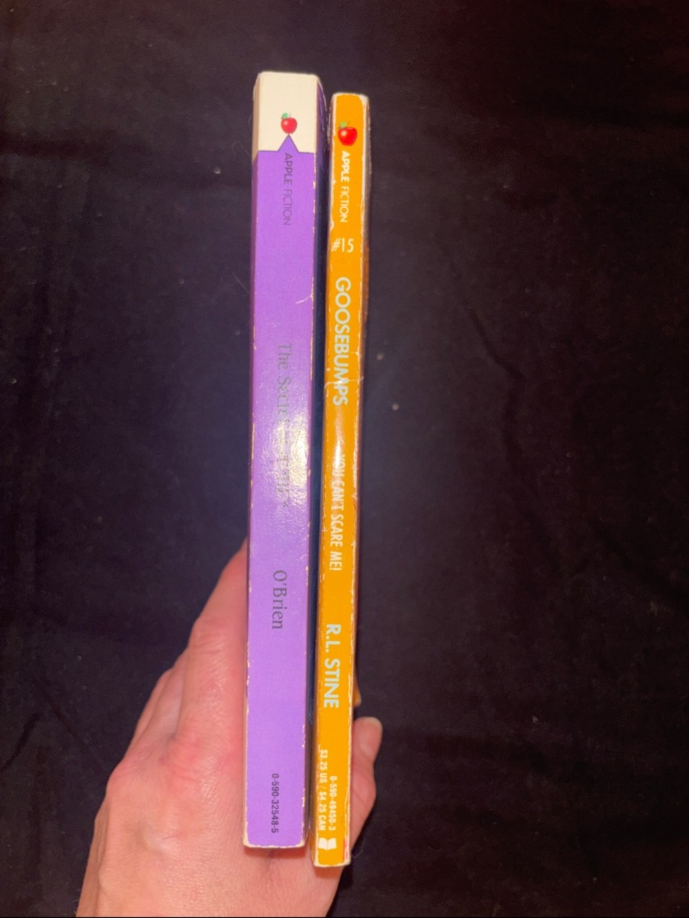👻 Vintage Kids Book Bundle | The Secret of NIMH & Goosebumps - Picture 3 of 8
